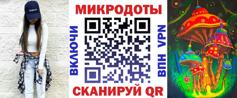 Псилоцибиновые грибы Magic Shrooms  закладка  Салаир 
