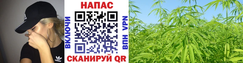 KRAKEN ТОР  Салаир  Каннабис Bruce Banner  цены  